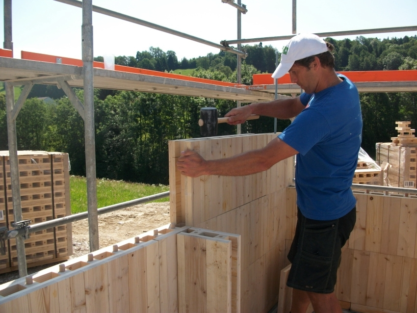 Harri Vane - Puumajad.ee